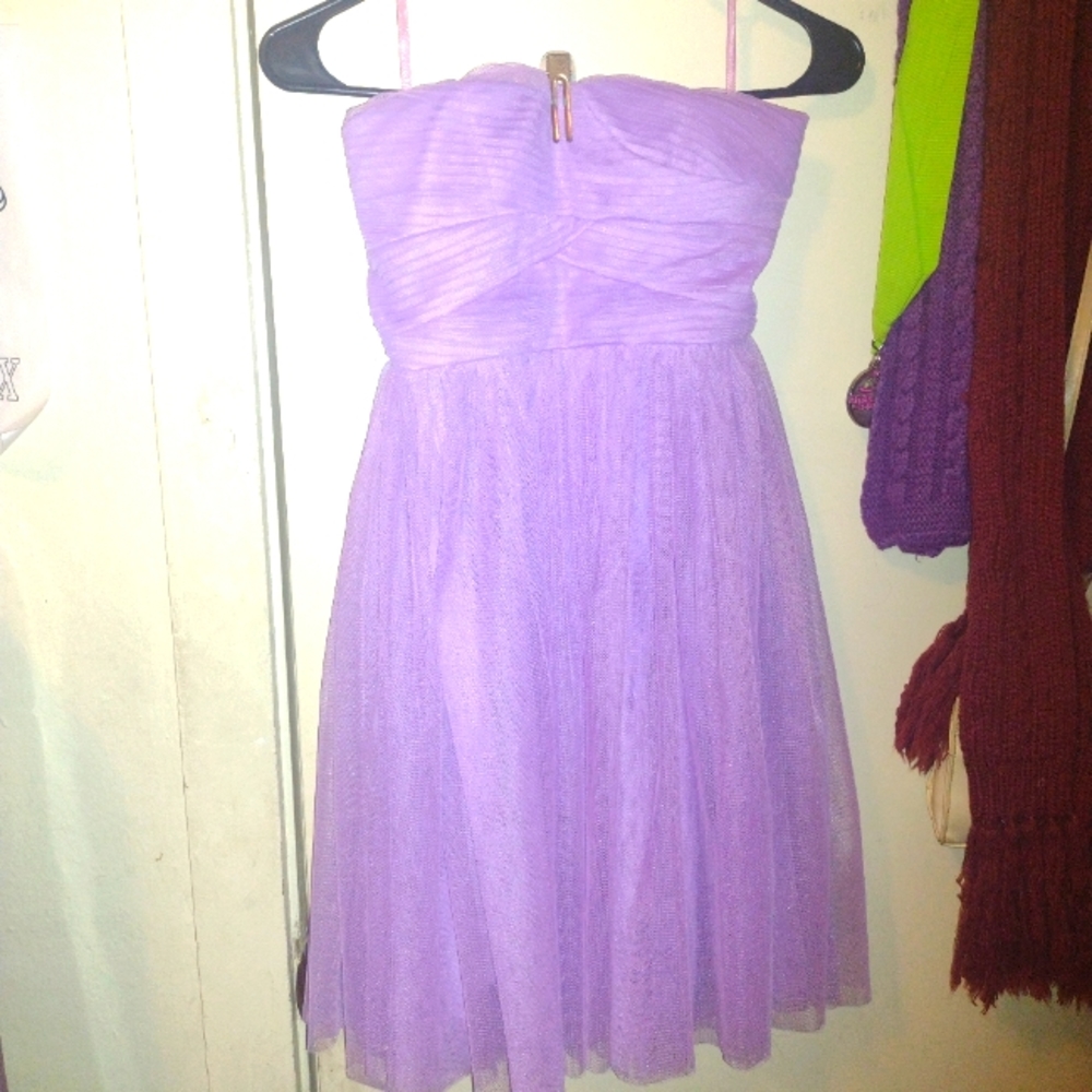 short tool purple dress